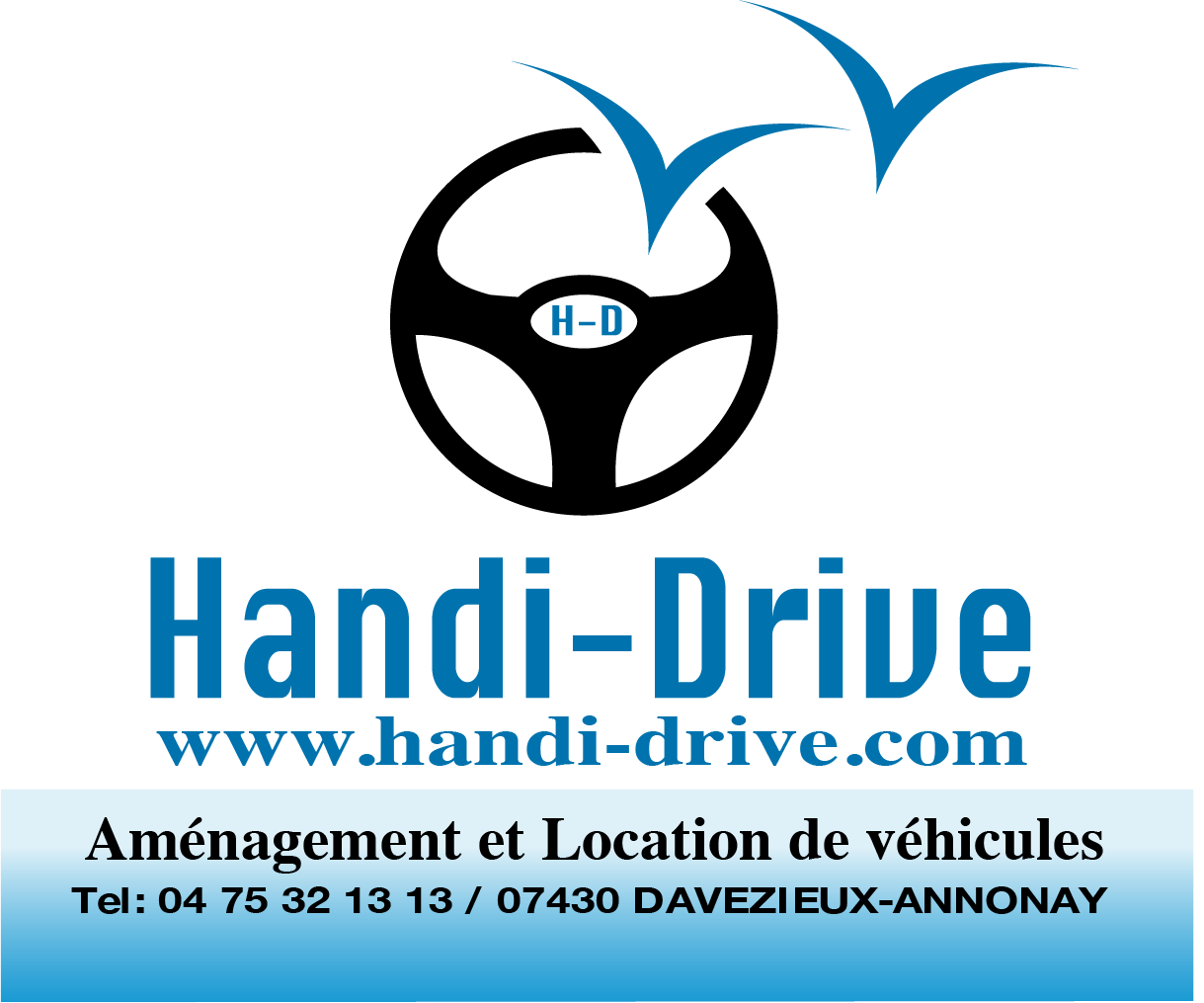 HANDI_DRIVE