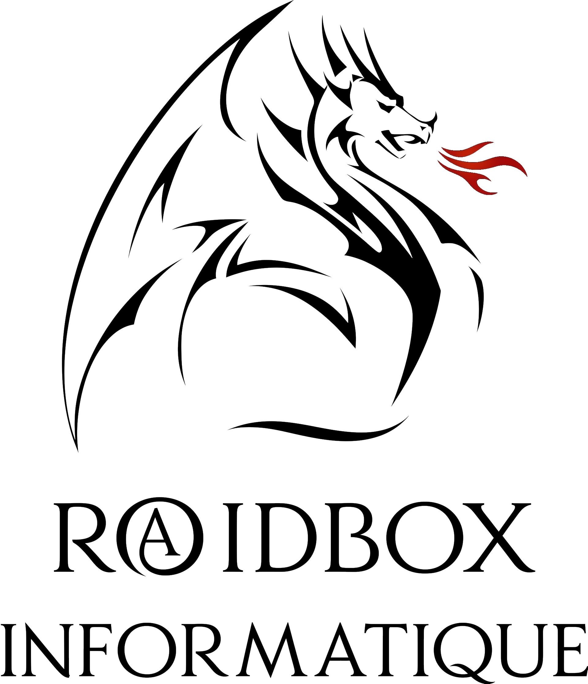 RAIDBOX